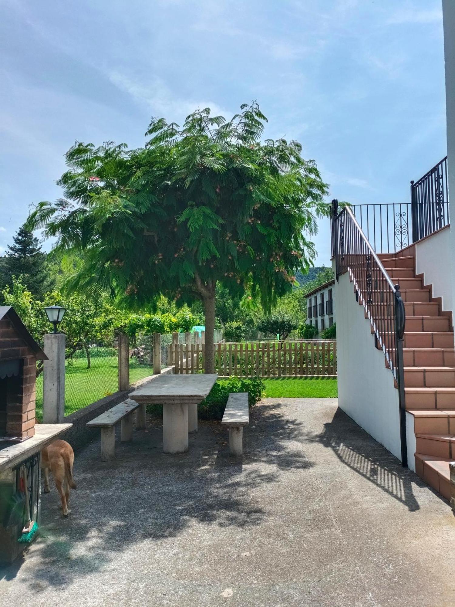 Apartamento Rural Casa Paco Con Jacuzzi Exterior Y Barbacoa Aínsa Dış mekan fotoğraf
